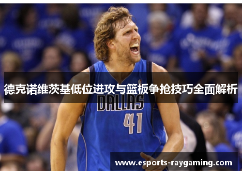 德克诺维茨基低位进攻与篮板争抢技巧全面解析