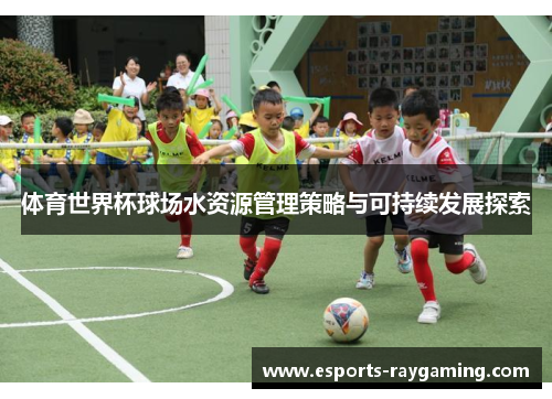 体育世界杯球场水资源管理策略与可持续发展探索