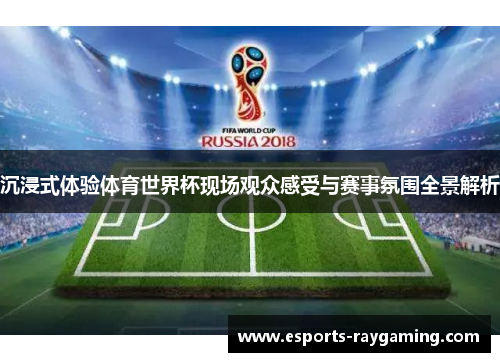 沉浸式体验体育世界杯现场观众感受与赛事氛围全景解析