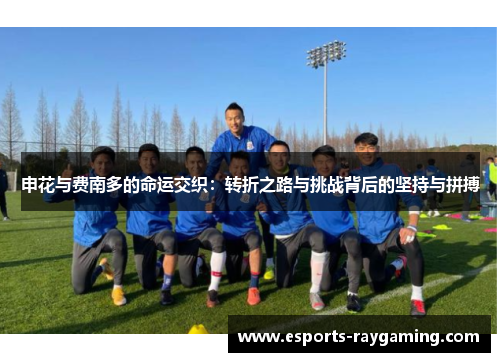 申花与费南多的命运交织：转折之路与挑战背后的坚持与拼搏