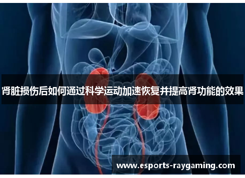 肾脏损伤后如何通过科学运动加速恢复并提高肾功能的效果