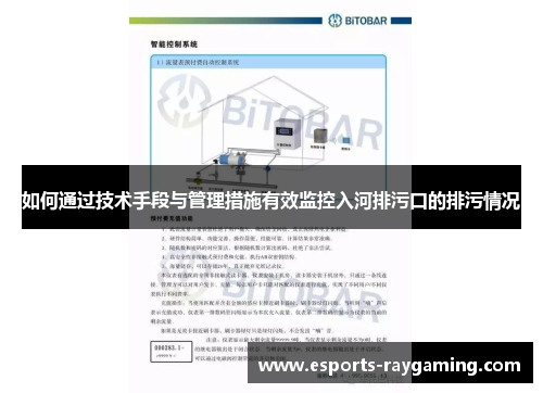 如何通过技术手段与管理措施有效监控入河排污口的排污情况