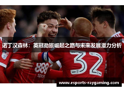 诺丁汉森林：英冠劲旅崛起之路与未来发展潜力分析